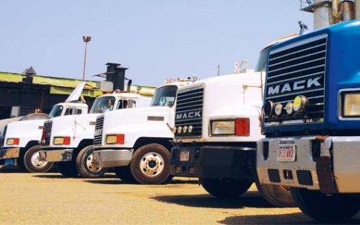 LIZMAN-CENIC NIG. LTD. PROFILE1